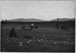 Doksat’ta kayıpların cesetlerini arama gayretleri, 1913’teki Carnegie raporu’ndan, S. 80.