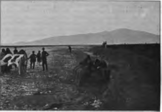 Cesetlerin toplanması, 1913’teki Carnegie raporu’ndan, S. 81.