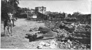 Carnegie Raporu S.88