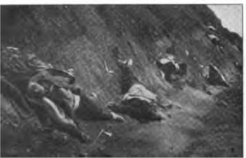 Ayvaz Baba Saldırısı, Carnegie Raporu, S. 238.